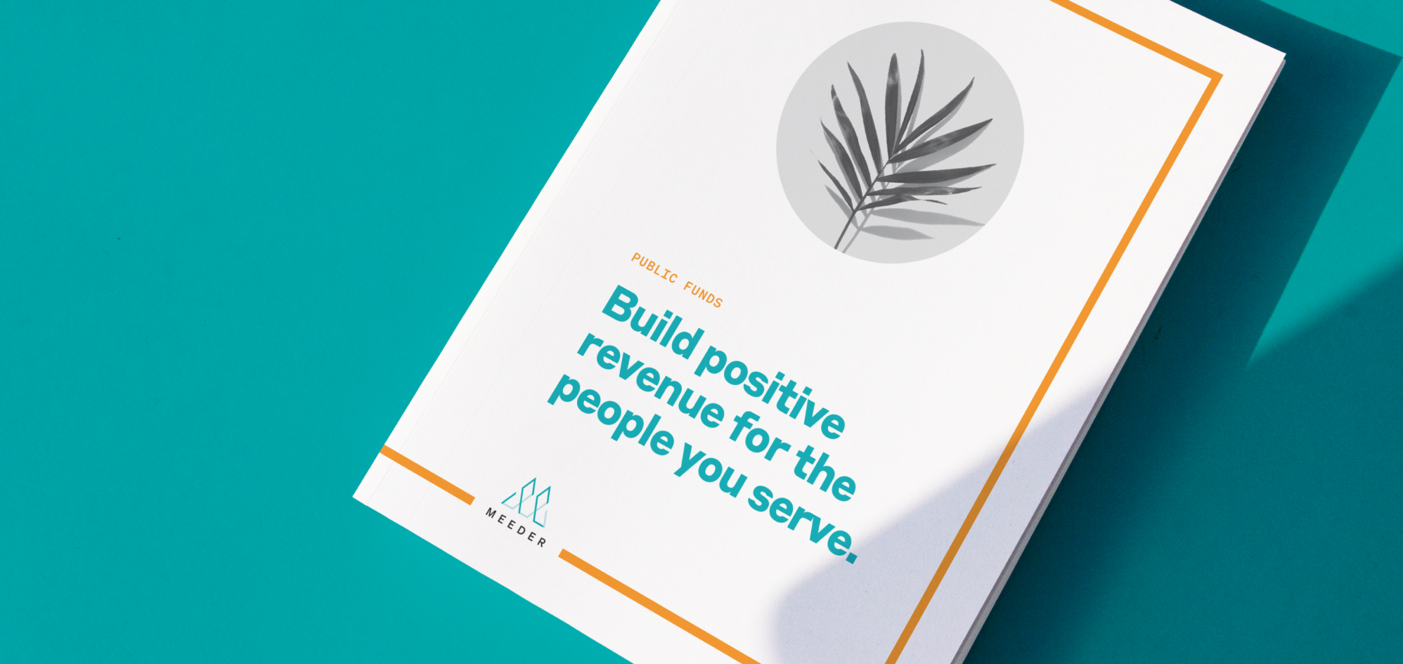 nfn-casestudy-meeder-hero-l