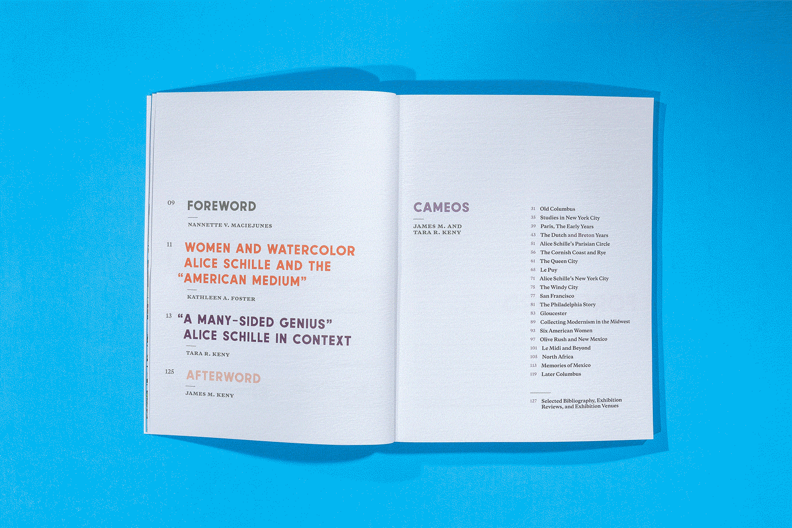 bvp-in-a-new-light-animation-1